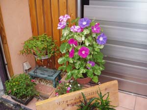 p7170046.jpg