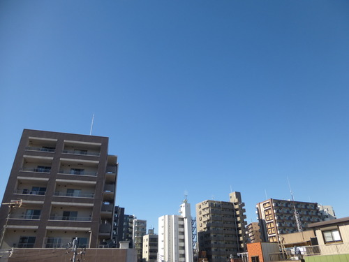 P1030536