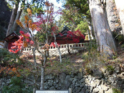 p1000799.jpg