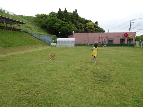 DSC00631