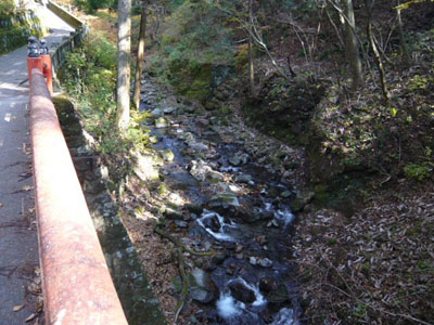 p1000768.jpg