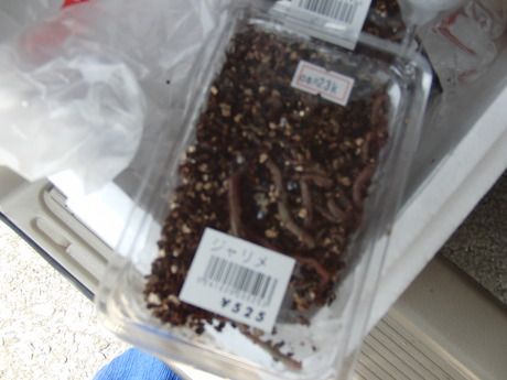 CIMG0069