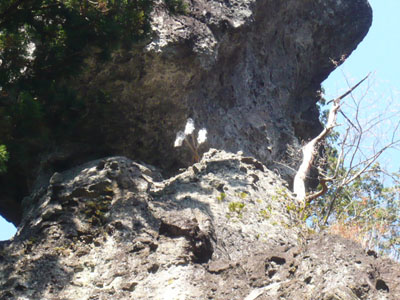 p1000815.jpg