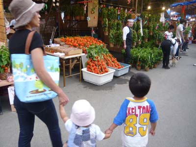 p1030059.jpg