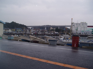 p2200174.jpg