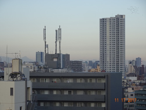 DSC01883
