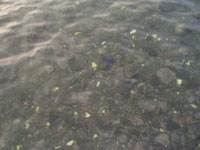 pb020009.jpg