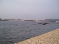 pb020008.jpg