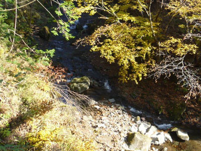 p1000774.jpg