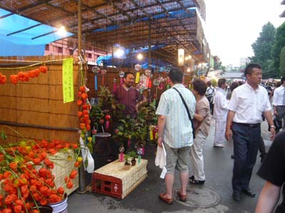 p1030060.jpg