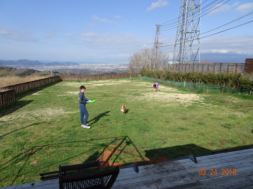 DSC02030