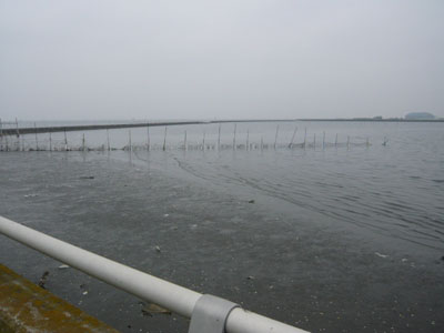 p1020246.jpg