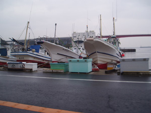p2200173.jpg
