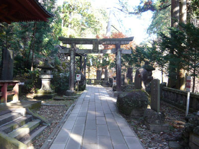 p1000784.jpg