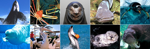 main_seaworld