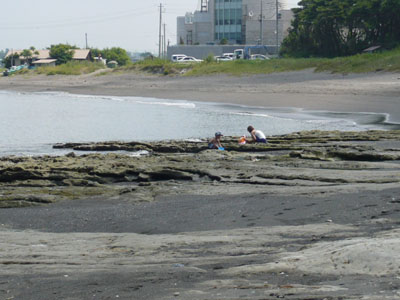p1030599.jpg
