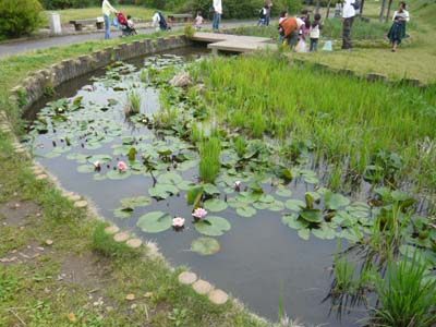 p1020309.jpg