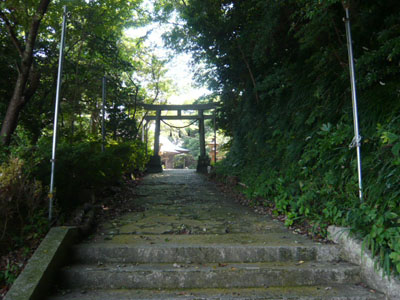 p1030411.jpg