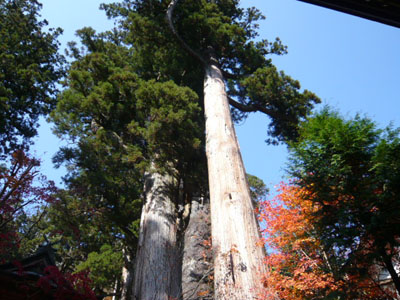 p1000798.jpg