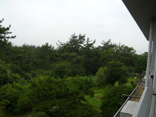 P1130794