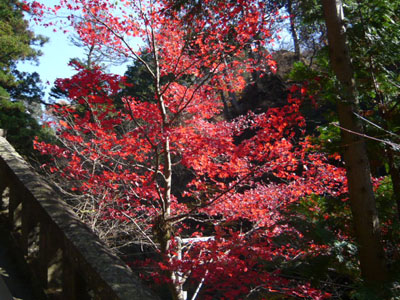 p1000793.jpg