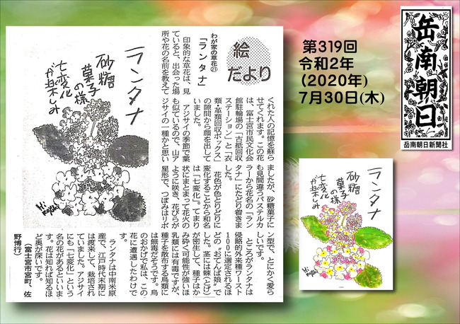 020730ランタナ（岳南新聞）