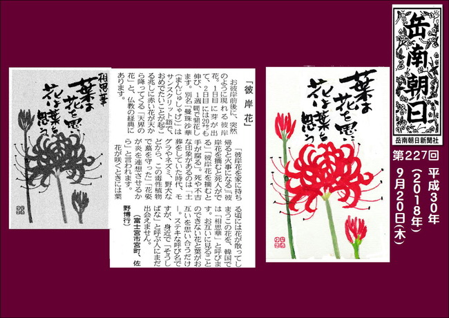 300920彼岸花(岳南新聞）