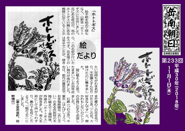 301101１ホトトギス(岳南新聞）