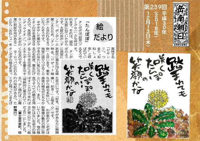 301213たんぽぽ(岳南新聞）