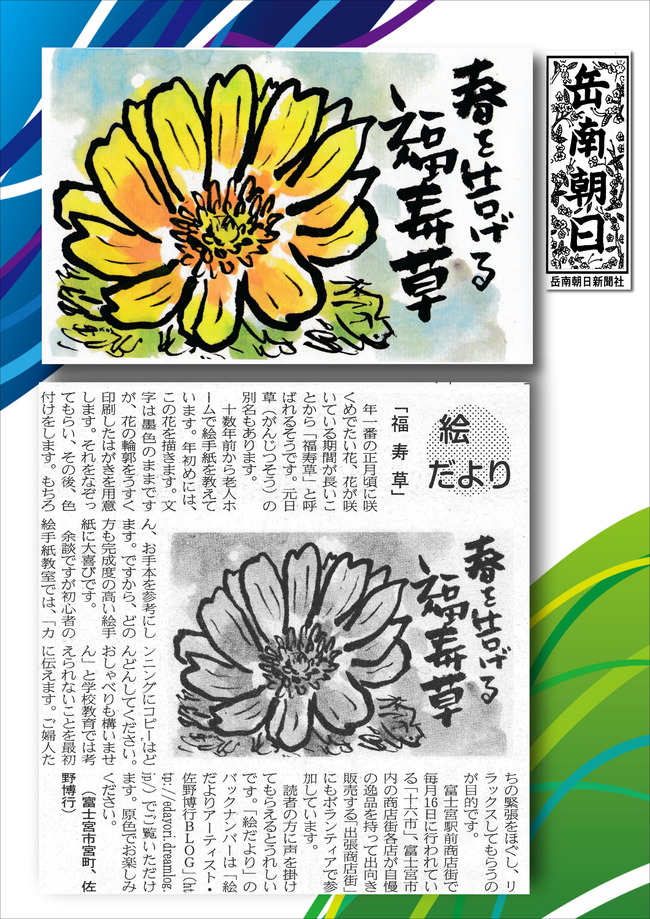 310117福寿草（岳南新聞）