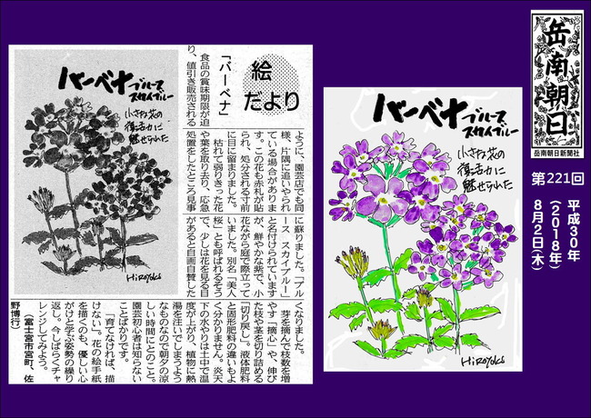 300802バーベナ(岳南新聞）