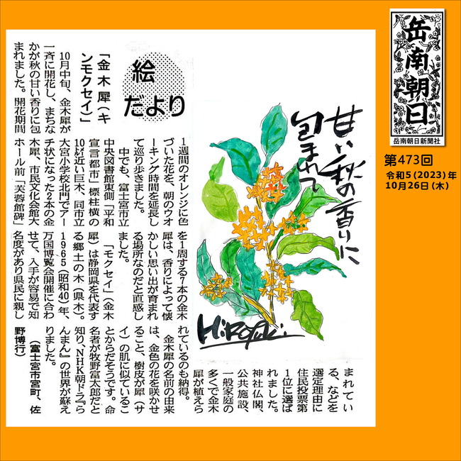 231026第473号金木犀