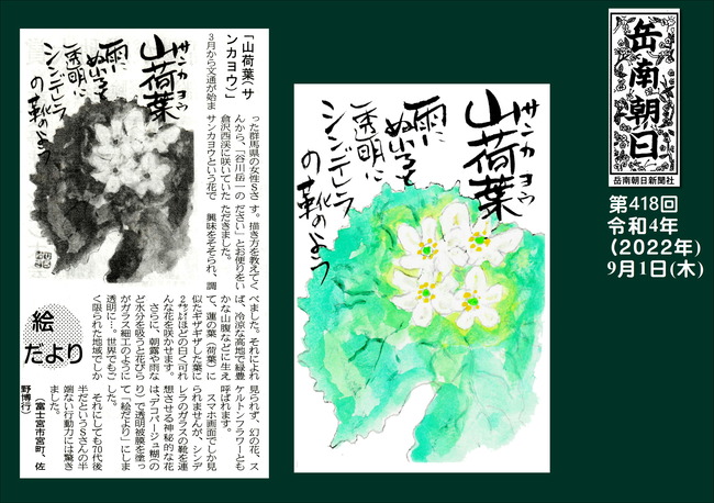 220901第418号山荷葉