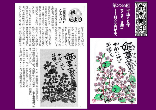 301122姫蔓蕎麦(岳南新聞）