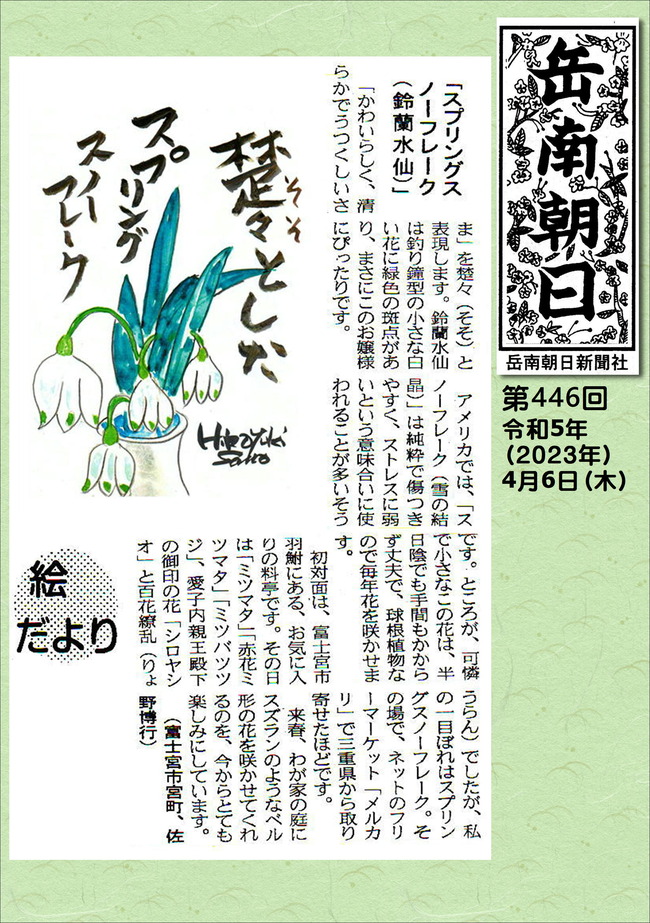 230406第446号鈴蘭水仙