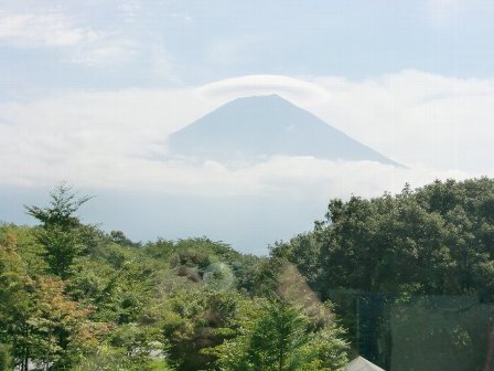 tanuki07.jpg