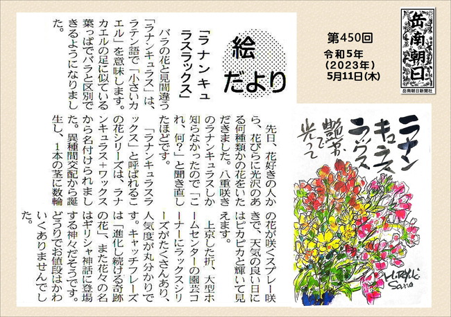 230511第450号ラナンキュラスラックス