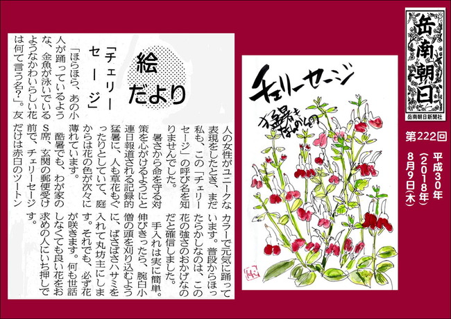 300809チェリーセージ(岳南新聞）