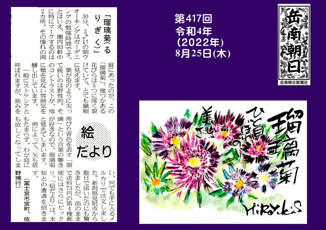 220825第417号瑠璃菊