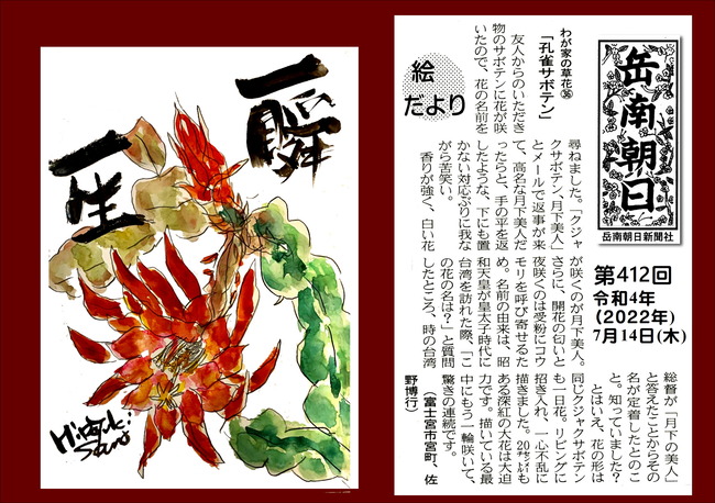 220714第412号孔雀サボテン