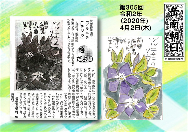 020409ツルニチニチソウ（岳南新聞）