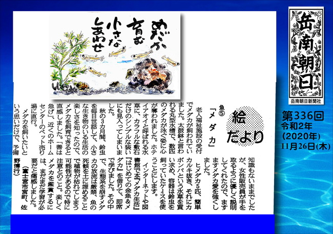 0201126メダカ（岳南新聞）