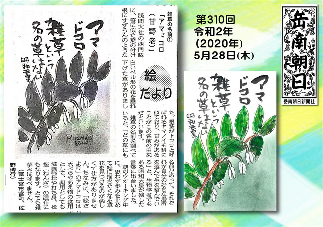 020528アマドコロ岳南新聞）