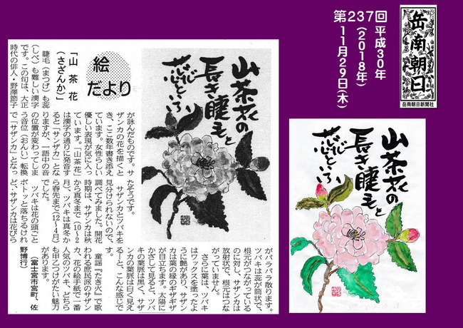 301129山茶花(岳南新聞）