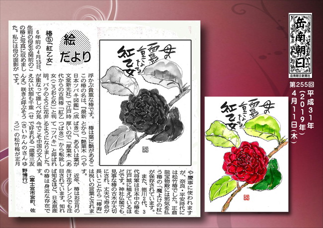 310411紅乙女（岳南新聞）