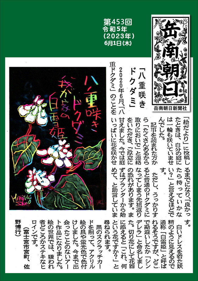 230601第453号八重咲ドクダミ
