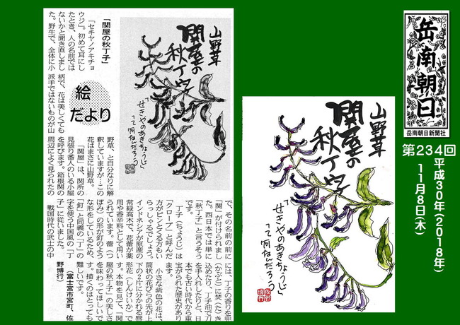 301108関屋の秋丁子(岳南新聞）