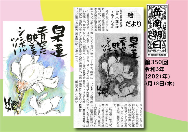 210318白木蓮