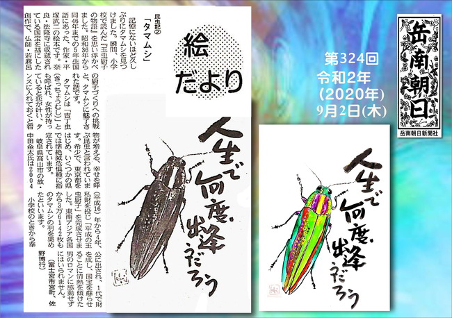 020902玉虫（岳南新聞）