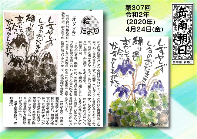 020424オダマキ（岳南新聞）